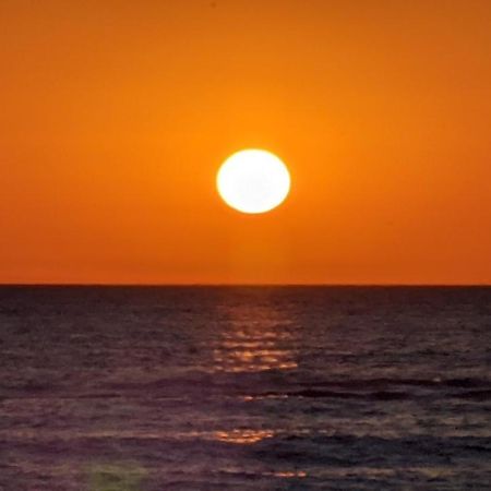 Nieuw Strand Petten Kültér fotó